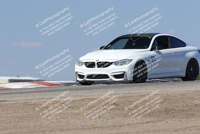 media/Oct-04-2025-OnGrid (Sat) [[44bd565ffa]]/Green Group/Grapevine/